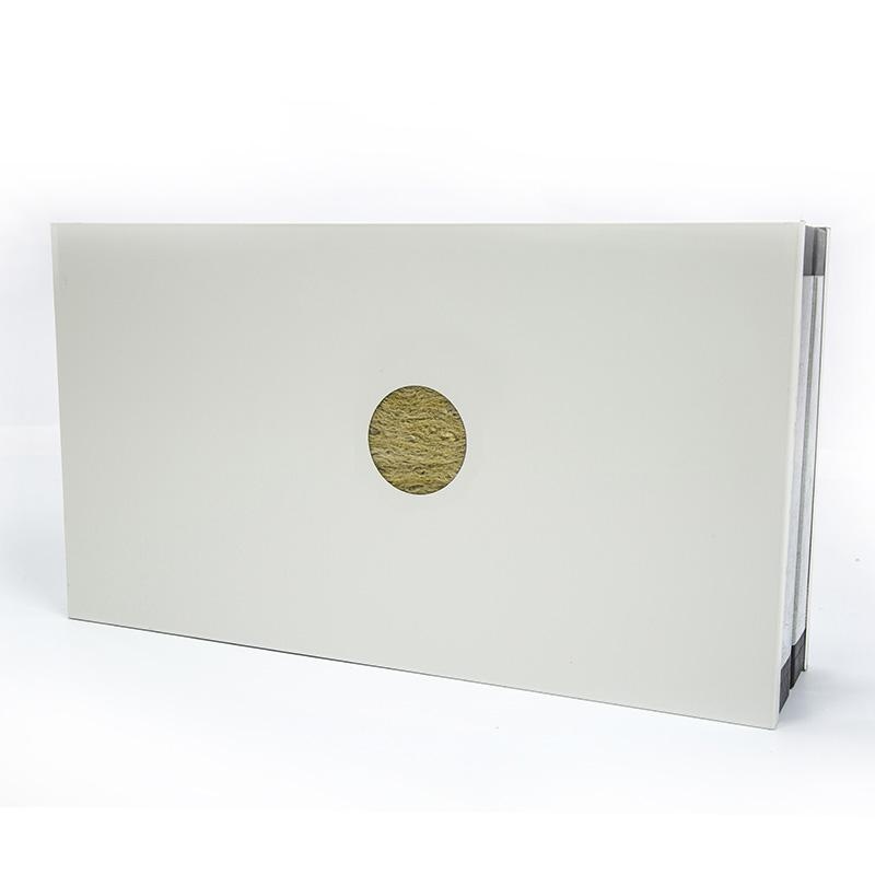 Rockwool cleanroom panel